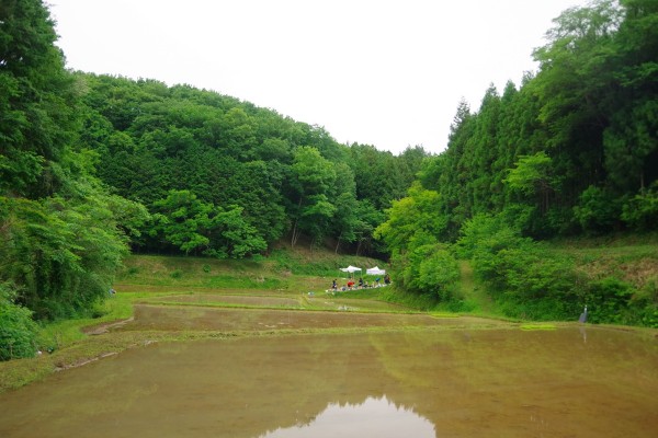 IMGP6897