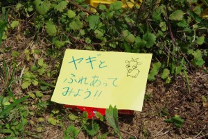 IMGP7091