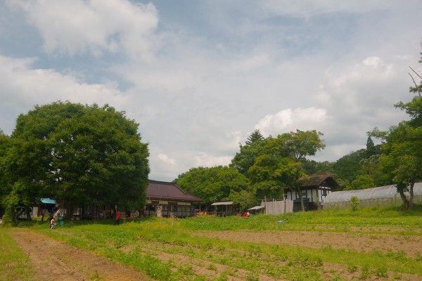 IMGP7344