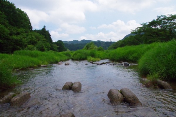 IMGP3285