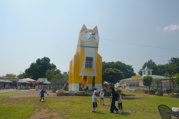 IMGP8348